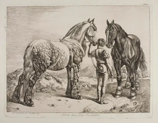 Black Horses from Lincolnshire