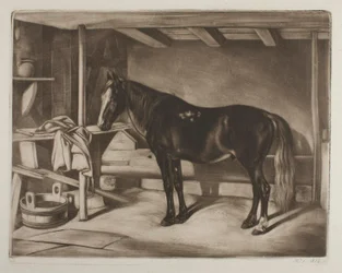 Horse in a Stable