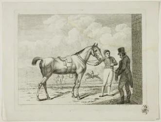 Riding School and Horses