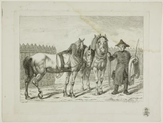Riding School and Horses