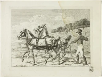Riding School and Horses