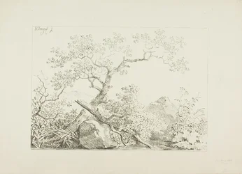 Trees and Rocks by Water
