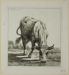 Cow Drinking, from Die Zweite Thierfolge