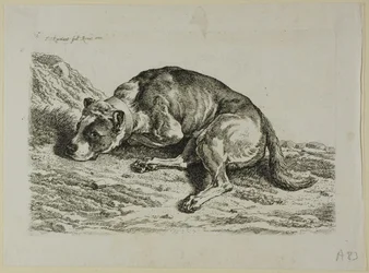 Dog Laying Down, from Die Zweite Thierfolge