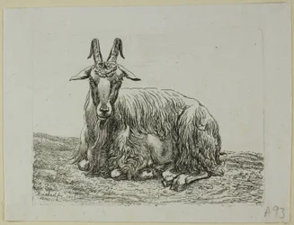 Lying Goat, from The Second Animal Series