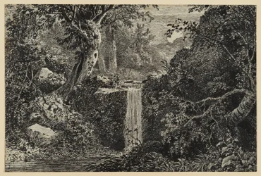 Waterfall in the Forest