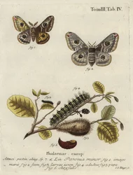 Unknown Image