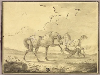 Two Horses Fighting Dog