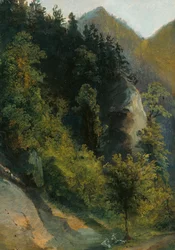 Wooded Rocky Valley with Goats