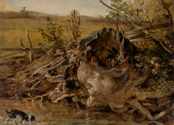 Decaying Tree Stump and Hunting Dog