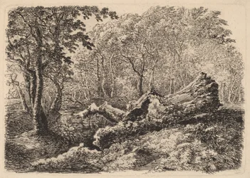 Mouldering Tree Trunk, 1794
