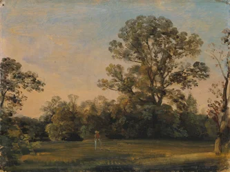 Park Landscape in the Early Morning