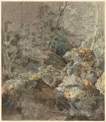 Waterfalls in a Mountain Forest
