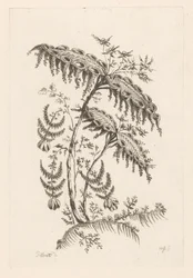 Leaves with Horn Shapes (Baroque Flowers)