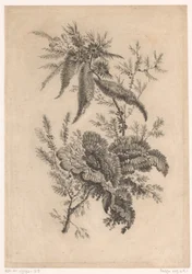 Wild Roses from Recueil De Nouvelles Fleurs De Goût; Pour la Manufacture des Etoffes de Perse