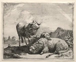 Ram and Two Sheep, 1665