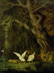 Foxes and Geese