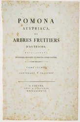 Title Page from 
