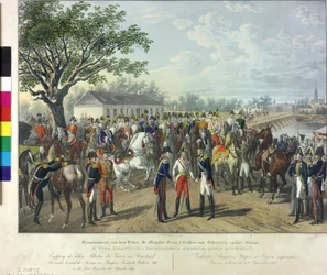 Reception of the Allies Monarch in Vienna 1814