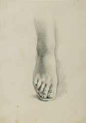 Foot Study for 