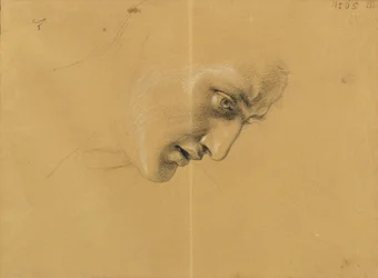 Head Study