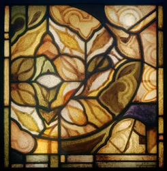 Ornamental Window