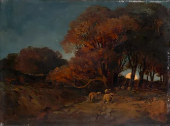 Autumn Forest by Moonlight