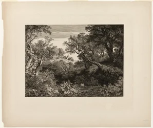 The Large German Landscape