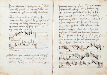 Page from a musical theory book by Johannes Tinctoris