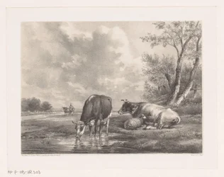 Two Cows and Sheep by the Water