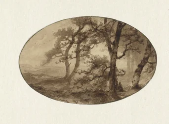 Forest Edge