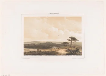 Heathland with Resting Walker and Shepherd with Flock