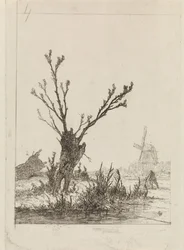 Skater with Sled by a Pollard Willow