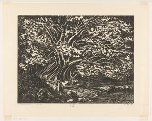 The Resting Place