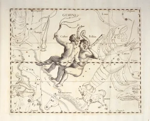 Gemini constellation, engraving from celestial atlas 