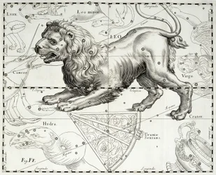 Leo, zodiacal constellation of Lion