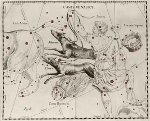 The constellation Canes Venatici, Hunting Dogs. Plate drawn from 