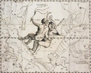 The constellation of Gemini, illustration from Firmamentum Sobiescianum sive Uranographia, by Johann Hevelius, Gdansk 1690