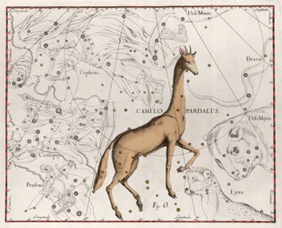 The constellation of the giraffe. Plate from 