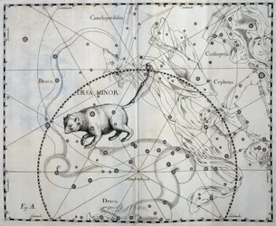 Ursa Minor, Boreal constellation of Ursa Minor