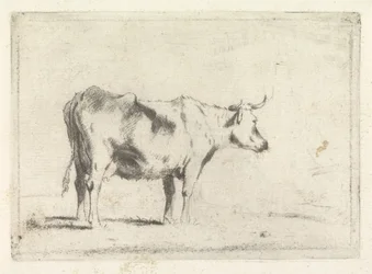 Cow, Facing Right