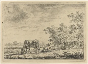 Three Cows in a Meadow