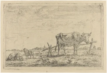 Pasture with Cow and Sheep
