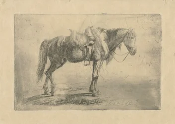 Saddled Horse Facing Right