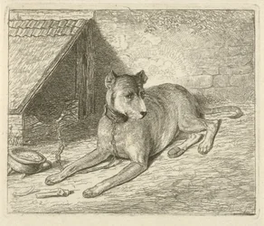 Dog on a Chain by a Kennel
