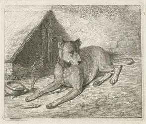 Dog on a Chain by a Kennel