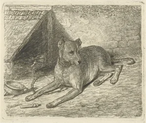 Dog on a Chain by a Kennel
