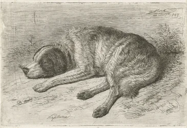 Sleeping Dog Facing Left (Neptune)