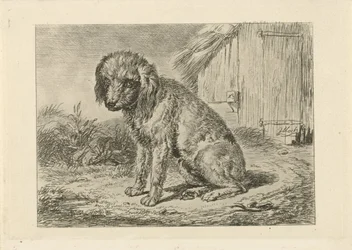 Sitting Dog by a Barn