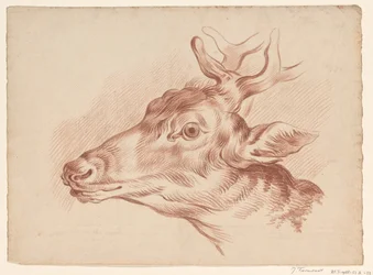 Head of a Deer, Facing Left